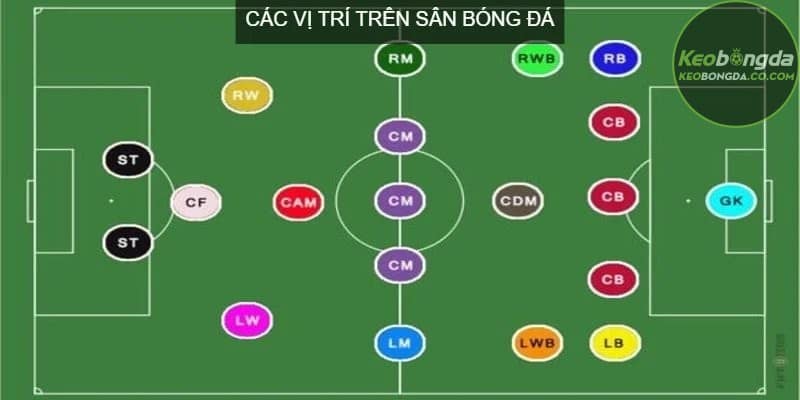 Các vị trí hậu vệ trên sân bóng đá