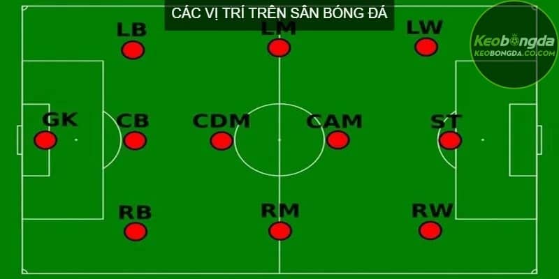 Các vị trí Tiền đạo trên sân bóng đá