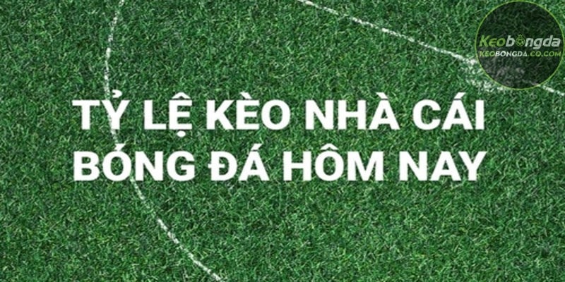 Nhiều người chơi mắc những sai lầm phổ biến khi soi kèo bóng đá