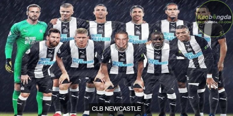 CLB Newcastle United đã có thể cải thiện đáng kể đội hình