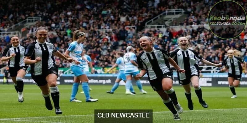 CLB Newcastle United với nhiều cầu thủ tài năng và ngôi sao sáng giá