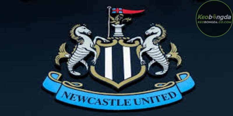 CLB Newcastle United có lịch sử lâu đời trong bóng đá Anh