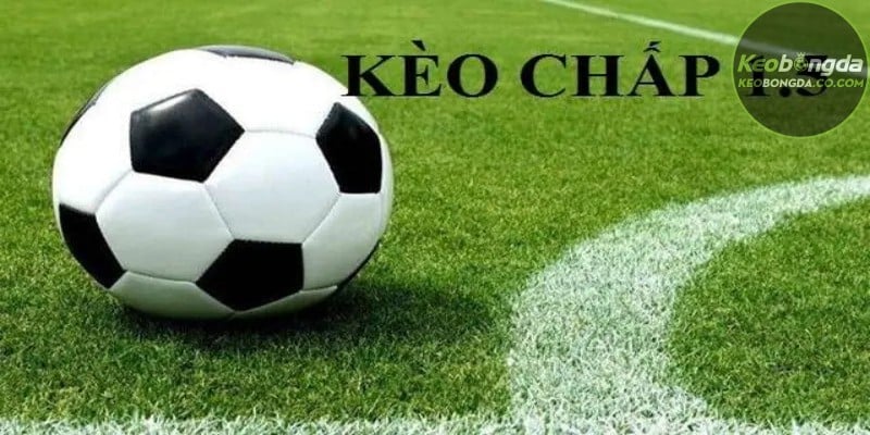Những lưu ý quan trọng khi chơi kèo 1 1/2