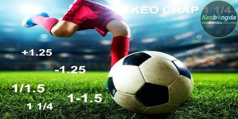 Cần phân tích các yếu tố ảnh hưởng trước khi đặt cược kèo 1 1/4