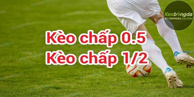 Một số sai lầm thường gặp khi cá cược kèo 1/2
