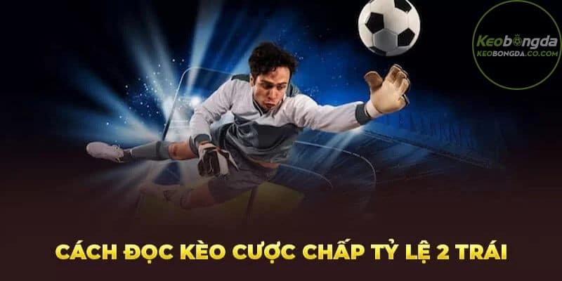 Cách tính thắng thua trong kèo 2 hòa nhà cái đưa ra