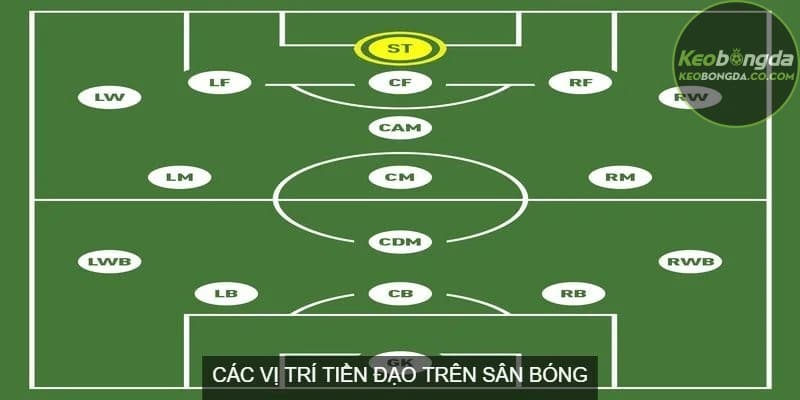 Tiền đạo là gì? Các loại tiền đạo với những đặc điểm và vai trò riêng biệt