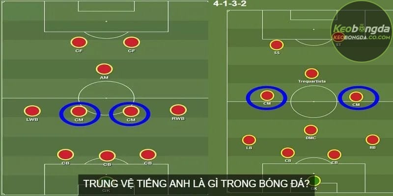 Trung vệ tiếng Anh là gì trong bóng đá?